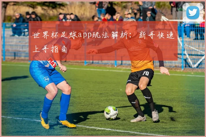 世界杯足球app玩法解析：新手快速上手指南
