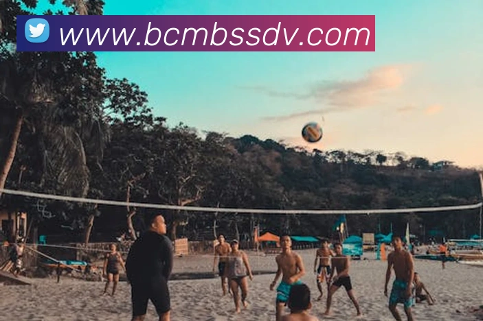 nba在线直播平台生态图